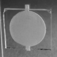 Разработка микрочипового устройства для проведения полимеразной цепной реакции в гелевой среде (10.11.15) Доклад
