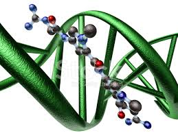 Взаимодействие молекулы ДНК с синтетическими аналогами антибиотиков и алкалоидов различной структуры (22.04.2016) Предзащита диссертации